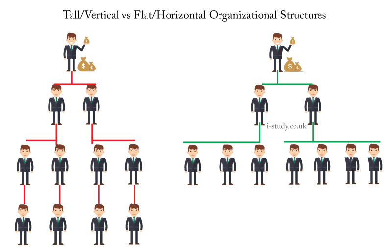 IB business studies horizontal and vertical organizational structures